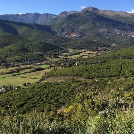 Belle Villa A Misincu- A Deux Pas De La Plage Cagnano Esterno foto