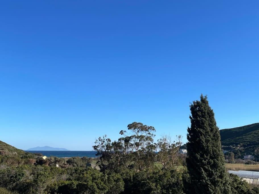 Belle Villa A Misincu- A Deux Pas De La Plage Cagnano Esterno foto