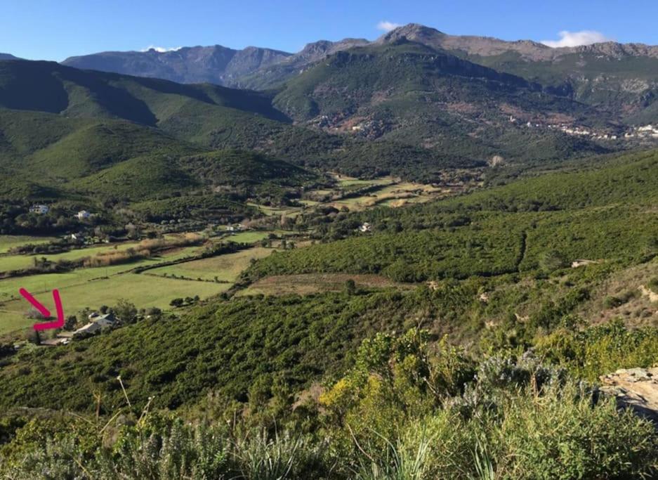 Belle Villa A Misincu- A Deux Pas De La Plage Cagnano Esterno foto