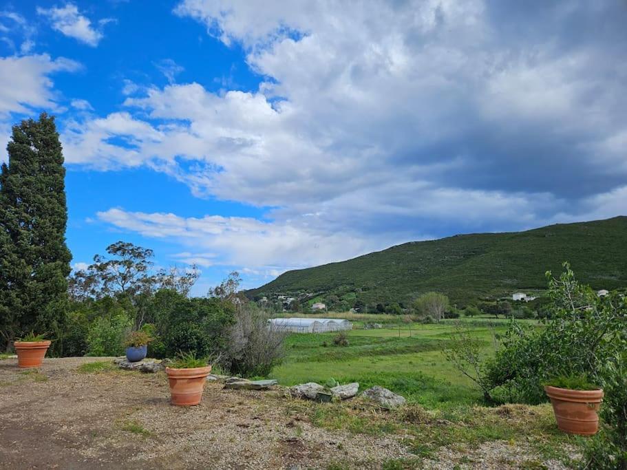 Belle Villa A Misincu- A Deux Pas De La Plage Cagnano Esterno foto