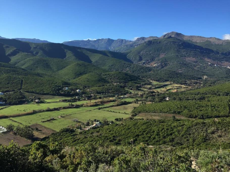 Belle Villa A Misincu- A Deux Pas De La Plage Cagnano Esterno foto